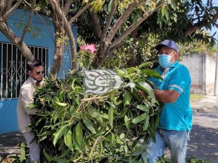 Limpian el centro de Ciudad Cardel tras nortazo