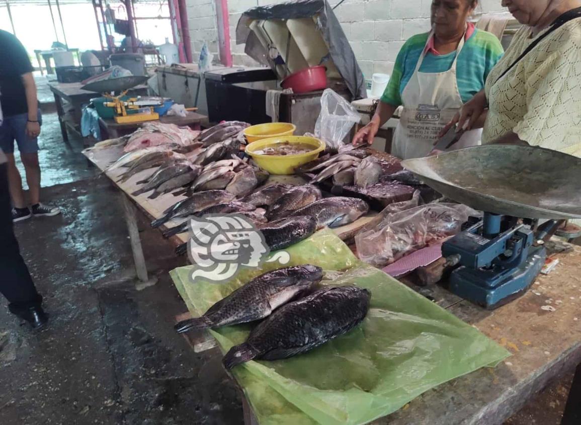 Religiosos de Moloacán respetan consumo de pescados y mariscos en cuaresma