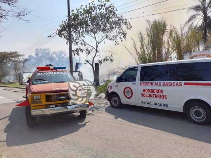 Incendio de pastizal en Córdoba genera intensa movilización policiaca