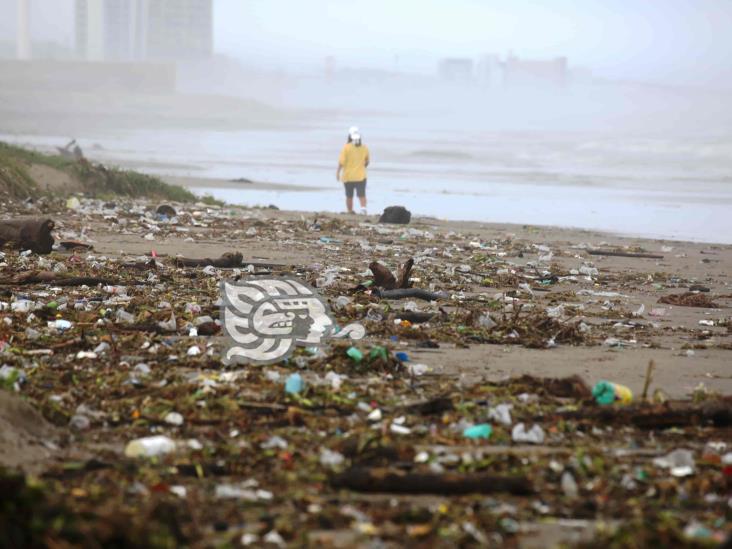 Contaminación y depredación humana acaba con especies, considera buzo porteño