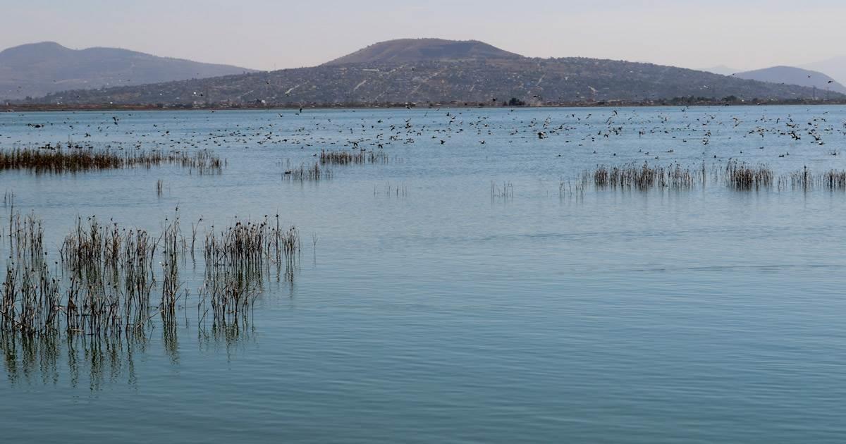 Federación declara área natural protegida al Lago de Texcoco