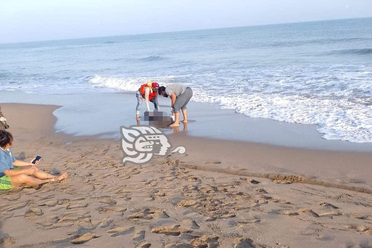 Olas regresan cuerpo de menor ahogado en Agua Dulce