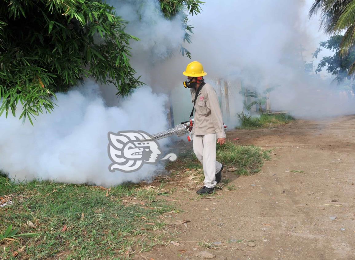 Integrarán comités de salud y dengue en Ayuntamiento Local