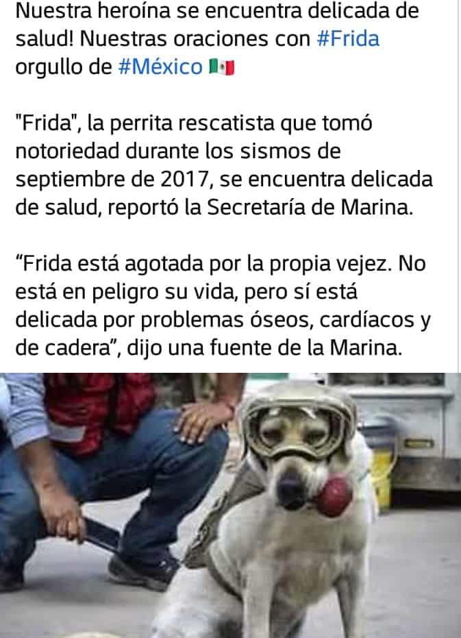 Oraciones y buenas vibras para Frida; está delicada de salud