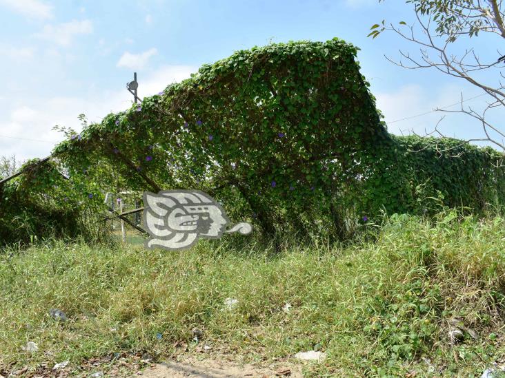 Canchas de pasto sintético vandalizadas; rescatan 12 de 31 en Coatzacoalcos