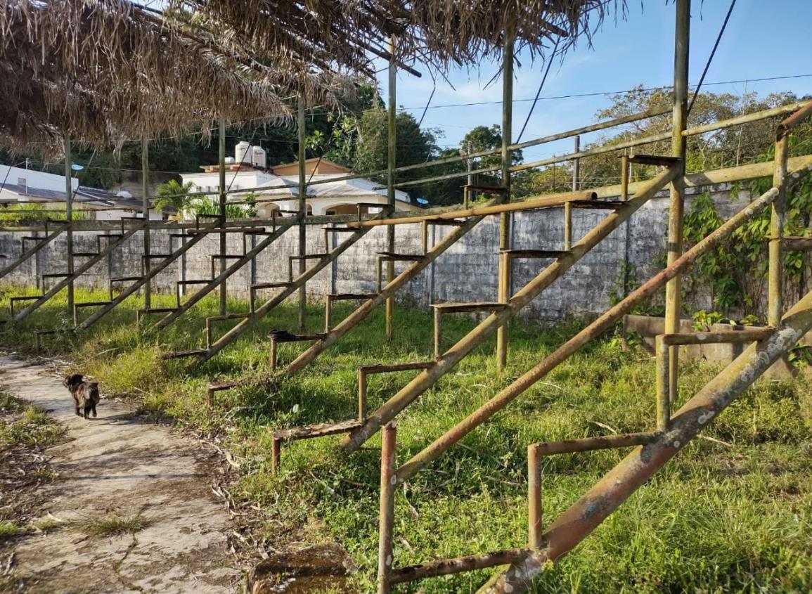 Arrasan con tubería de gradas en campo deportivo de Moloacán