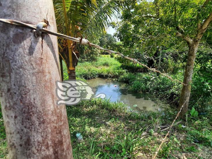 Estarían invadiendo zona de pantano y humedales en Agua Dulce