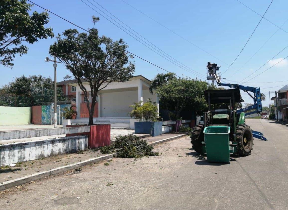 Podan árboles en parque de la colonia Las Américas