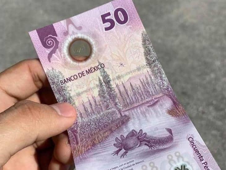 ¡Ganó el ajolote! Billete mexicano de 50 pesos es el más bonito del mundo