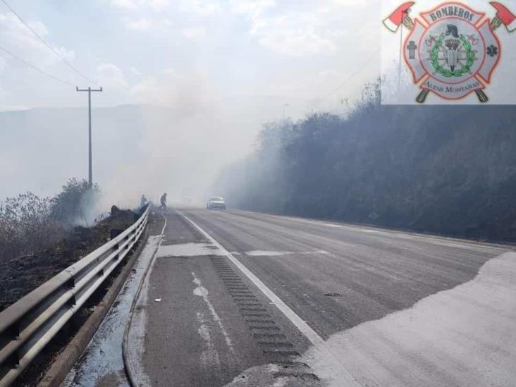 Bomberos sofocan incendio de pastizal en las Cumbres de Maltrata