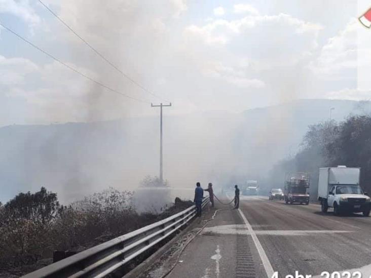Bomberos sofocan incendio de pastizal en las Cumbres de Maltrata