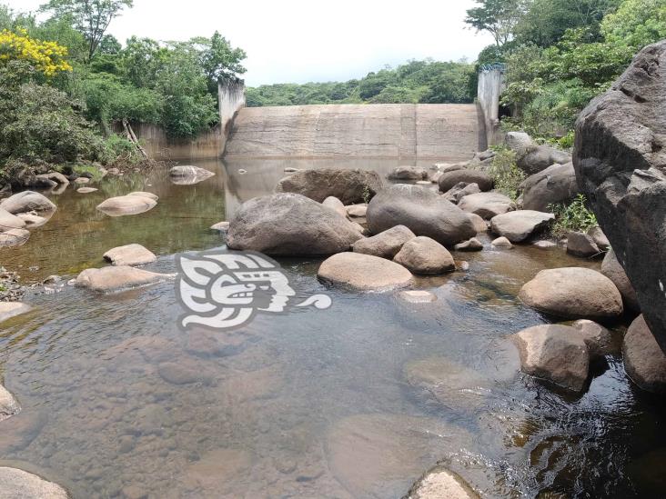 Piden reforestación del Yurivia; pese a Sembrando Vida, tala continúa