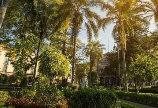 Dice Ayuntamiento que habrá lluvia de turistas en Xalapa; llegarían 40 mil