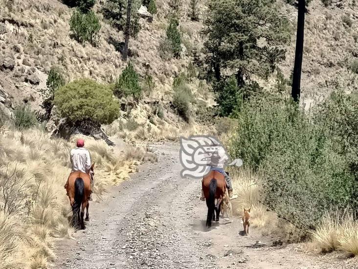 Prensa de EU investiga pérdida de agua en zona del Pico de Orizaba