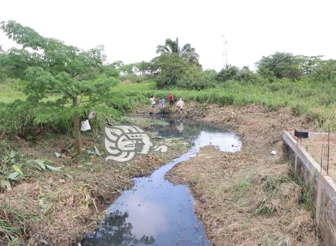 Limpian maleza en diferentes sectores de Nanchital