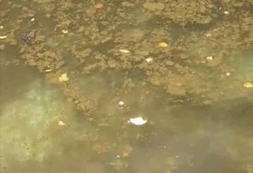 Denuncian abandono del parque Los Tecajetes, en Xalapa
