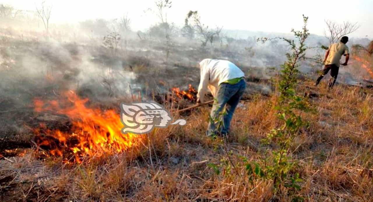 Fuego calcina ganado y más de 100 hectáreas en la sierra Santa Martha