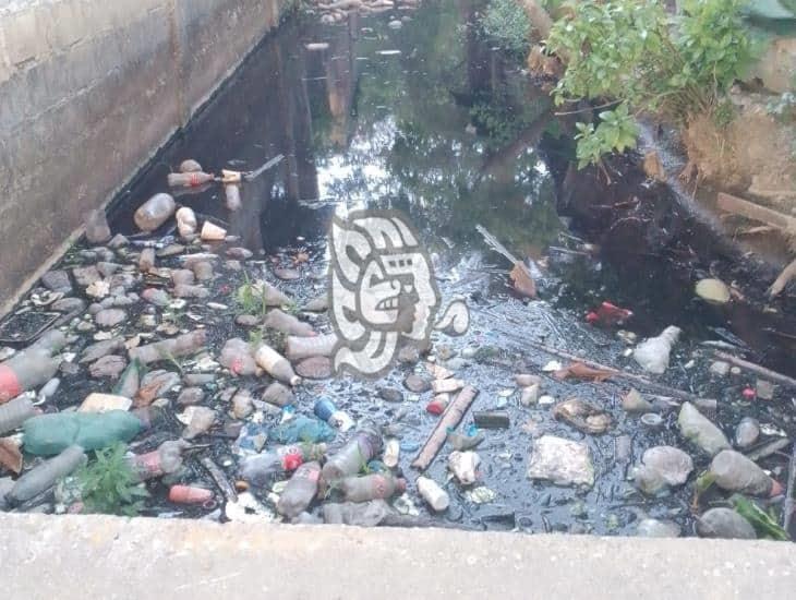 Piden limpieza de canal de aguas negras en Moloacán 