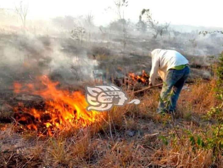 Más de 2 mil hectáreas de zona boscosa fue consumida por incendios forestales