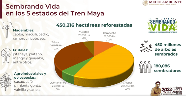 Semarnat admite que 4 tramos del Tren Maya carecen de permisos ambientales