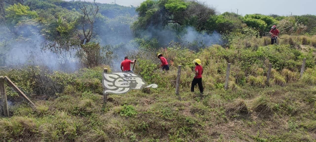 Controlan incendio de pastizal en El Tesoro