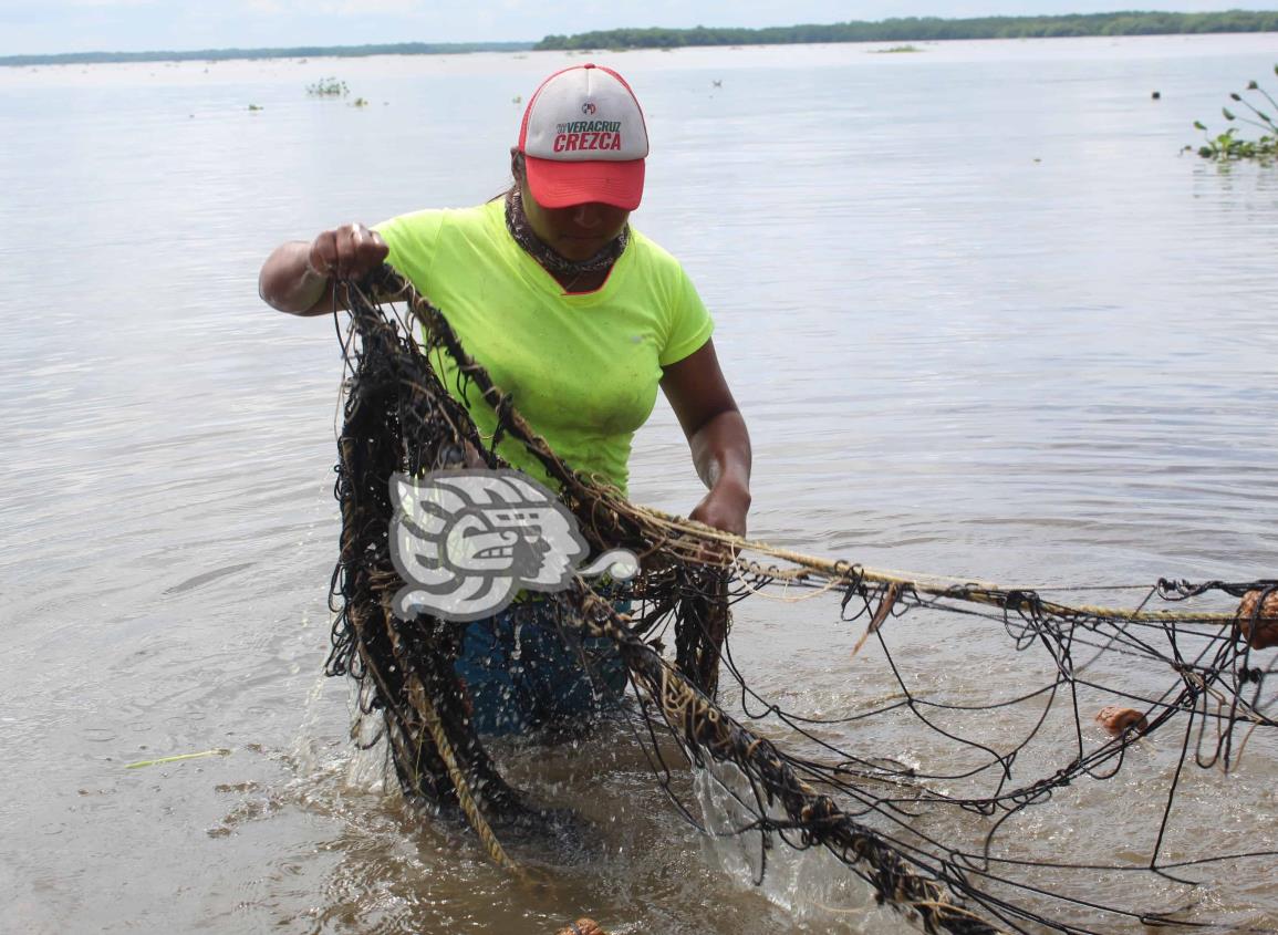 Lirio acuático afecta a pescadores de Agua Dulce