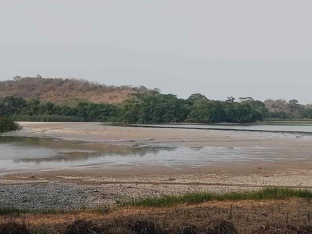 Vecinos confían en la recuperación de la Laguna de San Julián, Veracruz