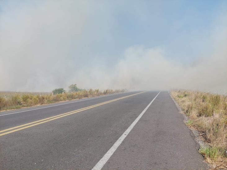 Logran controlar incendio en pastizal en carretera rumbo a Alvarado, Veracruz