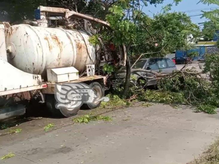 Camión da reversa e impacta árbol; causa daños a vagoneta