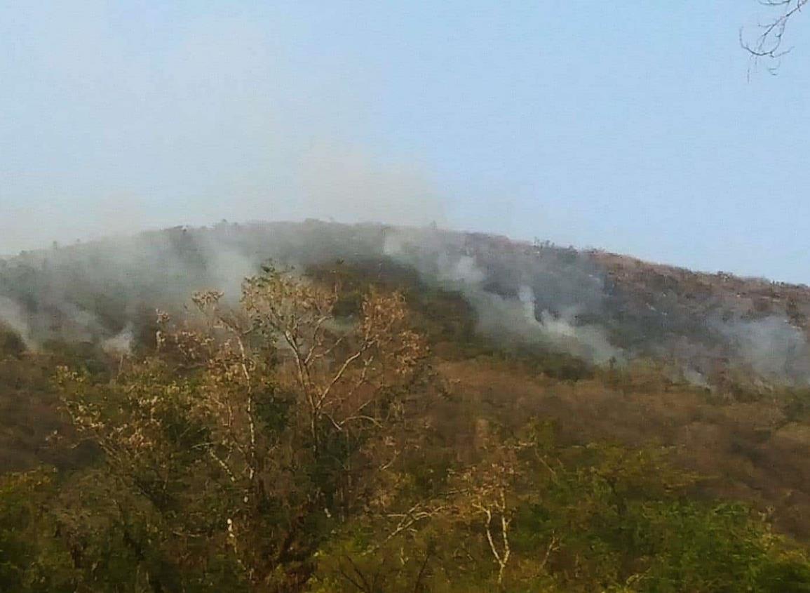 Incendio en Apazapan amenaza con extenderse a Carrizal