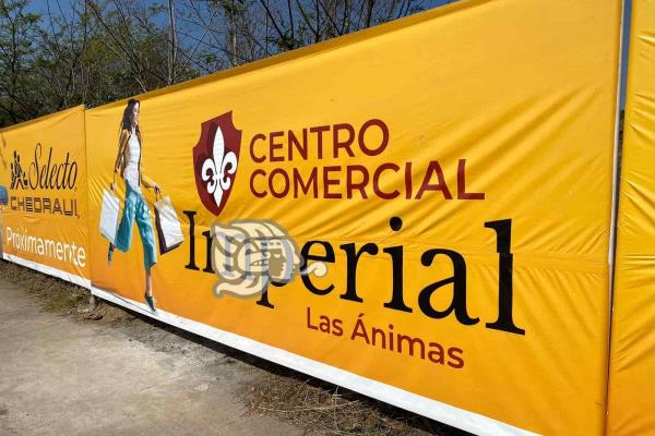 Multan a inmobiliaria por daño ecológico para construcción de centro comercial en Xalapa