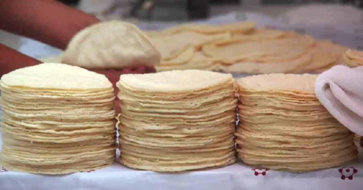 Filomeno Mata busca salir de la pobreza con la elaboración de tortillas