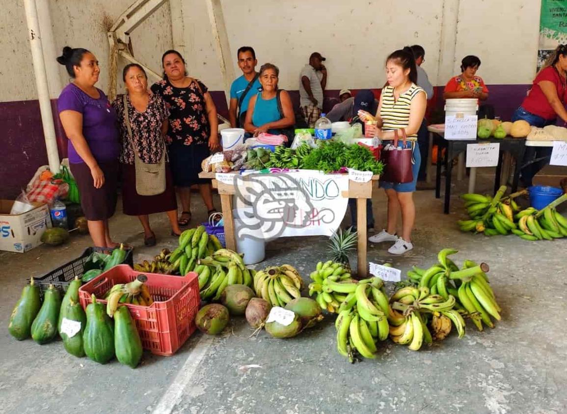 Instalan carranceños  tianguis de Sembrando vida