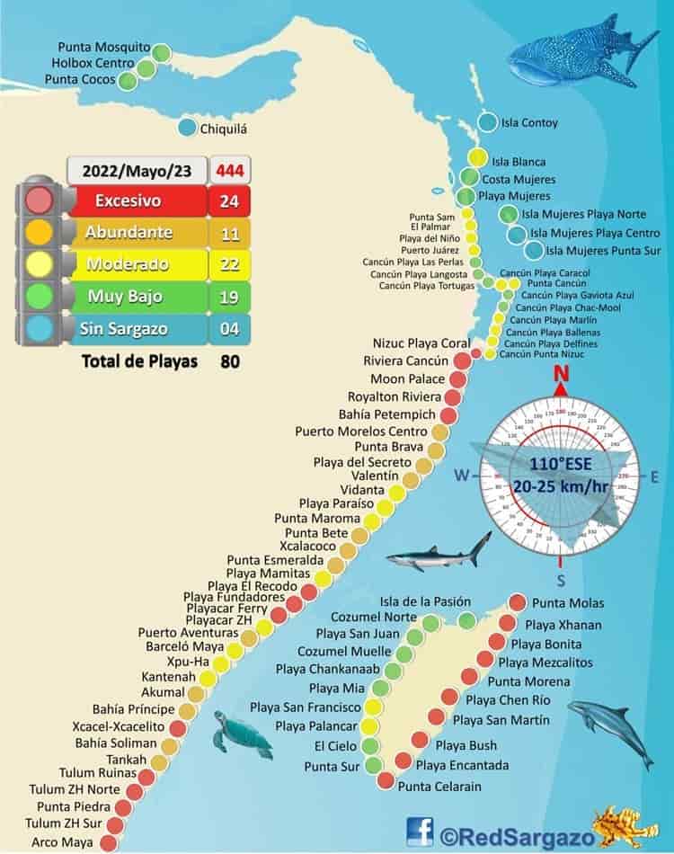 Arriba sargazo en parques temáticos de Xcaret y Xel-Ha