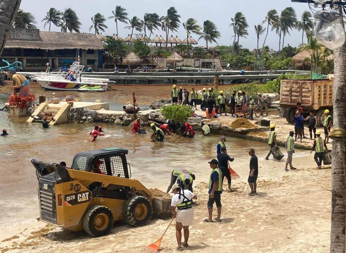 Arriba sargazo en parques temáticos de Xcaret y Xel-Ha