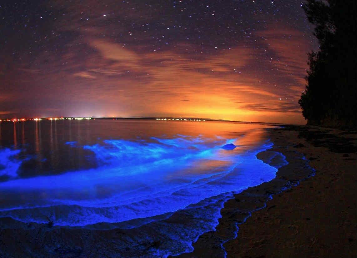 ¡De magia! El fenómeno de la bioluminiscencia en lagunas de Oaxaca