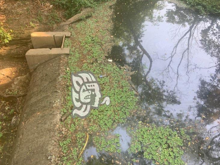 Sequía y demanda de agua podrían colapsar el Remolino en Sayula