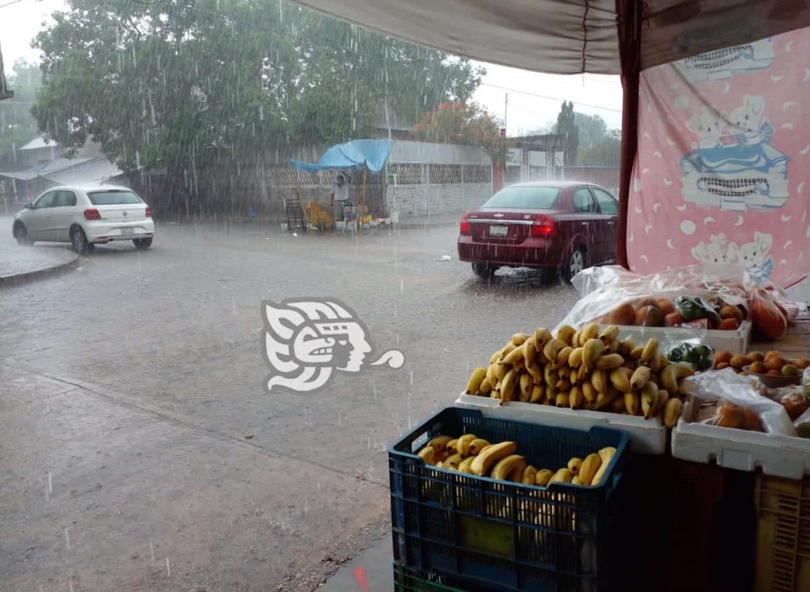 Alerta gris en el sur por la tormenta tropical Agatha