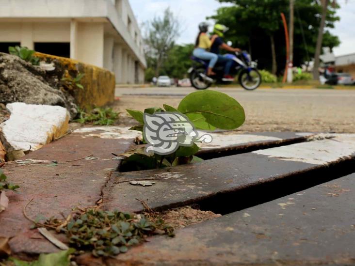 Alerta: Ante las lluvias por  “Agatha”, canales de Coatza llenos de lirio y basura