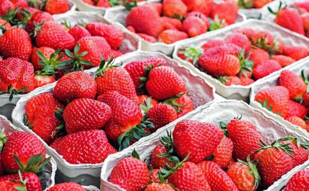 Casos de hepatitis en EU podrían venir por consumo de fresas contaminadas: FDA