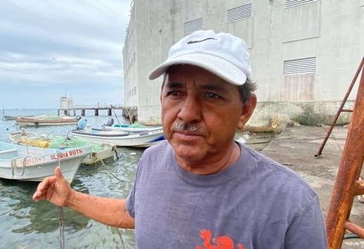 Precios de los productos del mar se encuentran estables