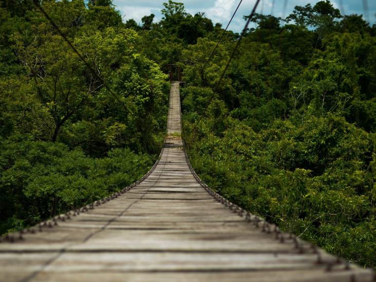 Cascada de San Pedro Soteapan; un tesoro en el Sur de Veracruz