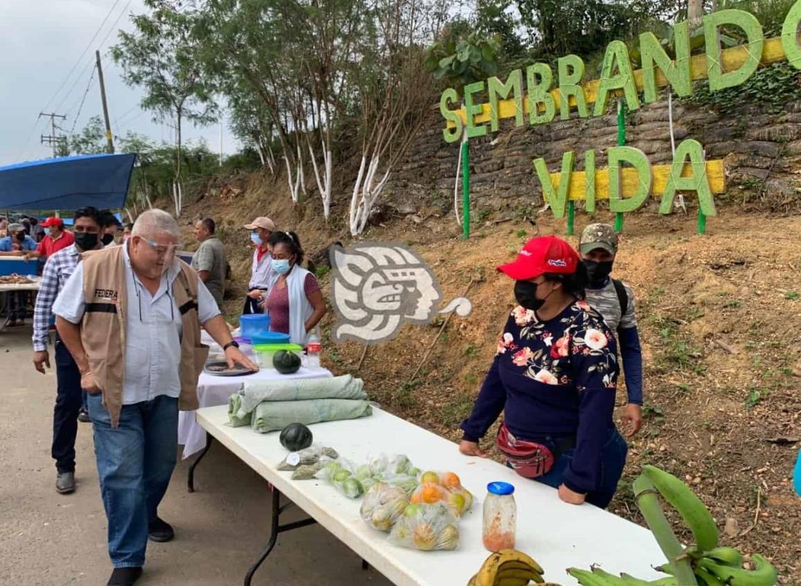 Acayucan será sede de Sembrando vida Oaxaca-Veracruz