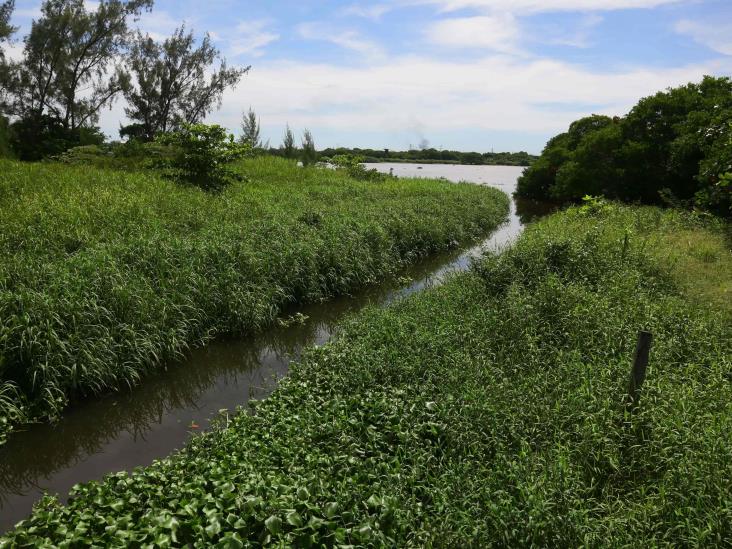 En riesgo de inundación 55 colonias de Coatza: PC