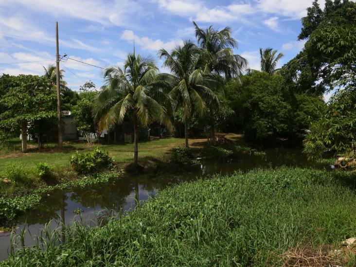 En riesgo de inundación 55 colonias de Coatza: PC