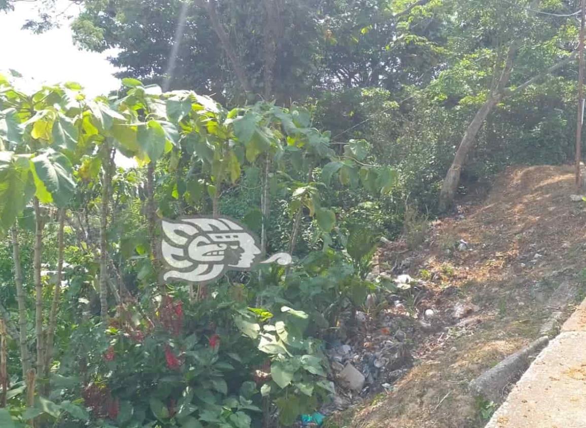 Calle de Agua Dulce es usada como basurero, denuncian