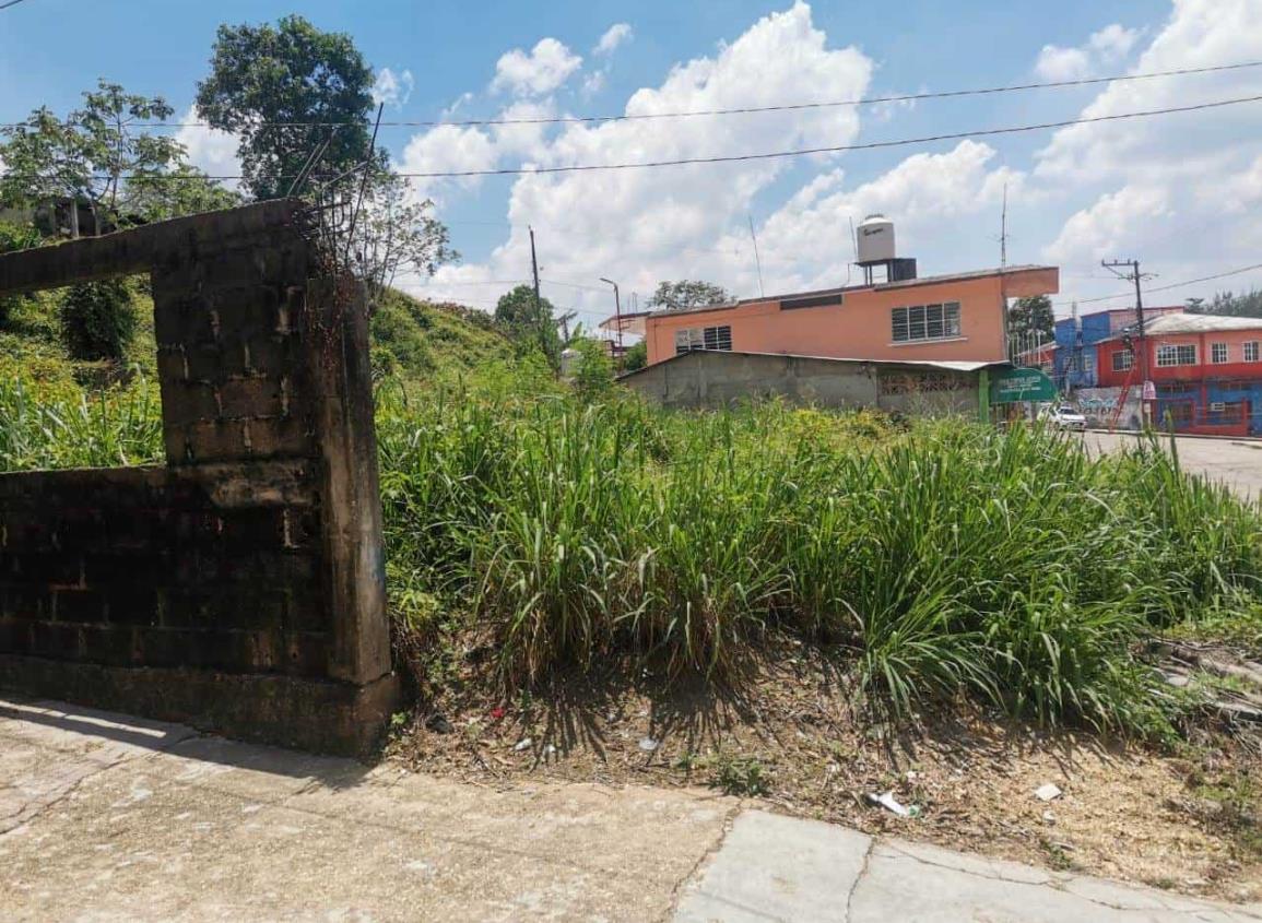 Peligroso terreno baldío en la colonia Obrera de Minatitlán