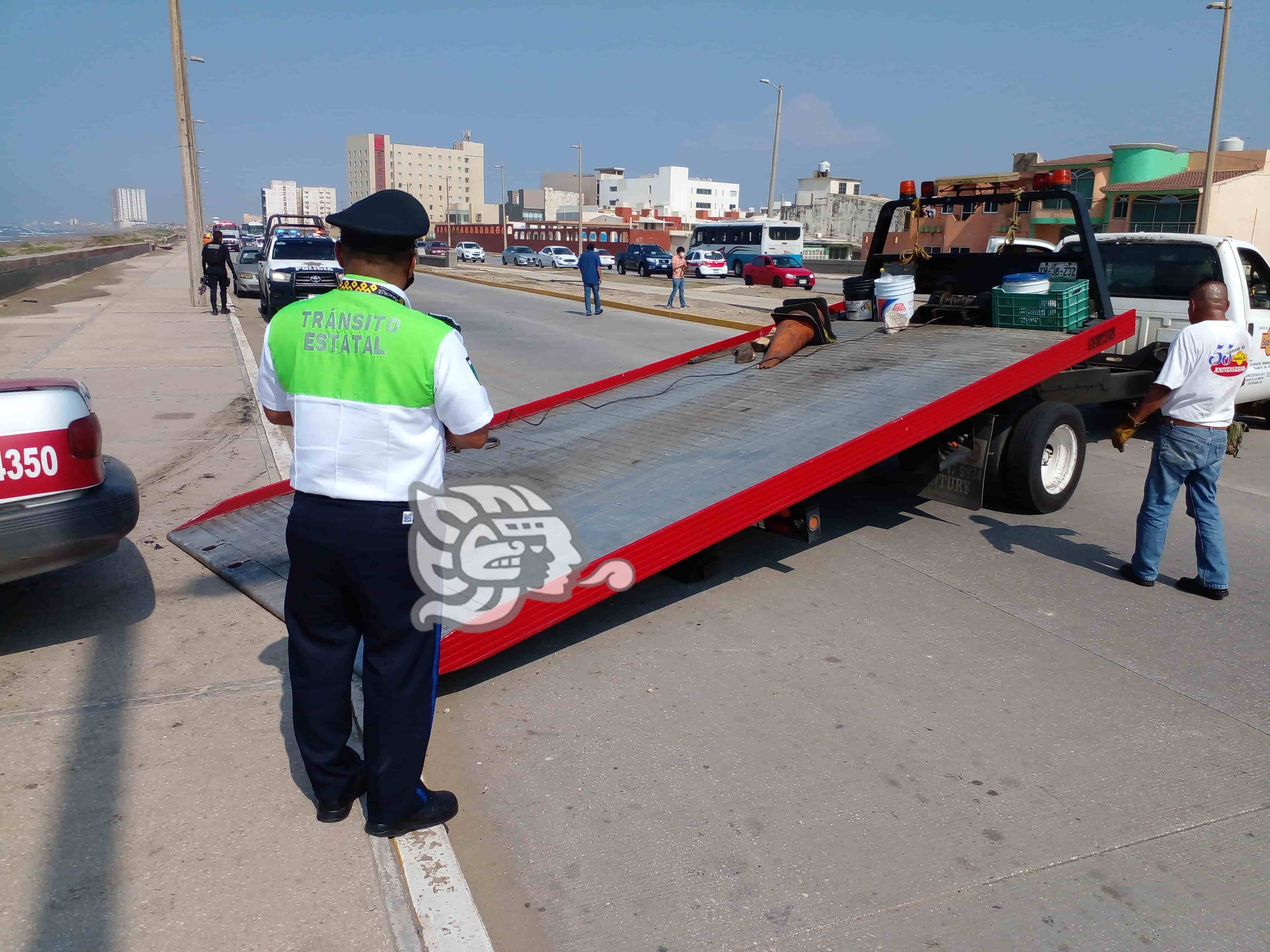 Reglamento para operación de grúas en Veracruz estará listo en un mes: SSP