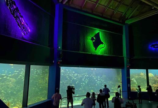 Casi 5 mil personas visitan el Aquarium de Veracruz en el día gratis