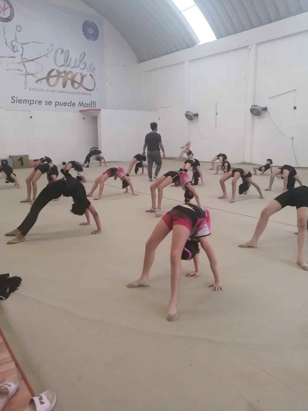 Gimnastas participarán en el campamento de Club de Oro en Veracruz